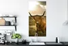 MuchoWow® Poster Schottischer Hochländer - Sonne - Gras Produktbild-Vorschau 3