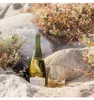 Cloudy Bay Sauvignon Blanc Marlborough trocken Neuseeland | Produktbild-Vorschau 11