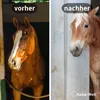 PVC-Lamellenvorhang Set 20 cm – alle Teile für einen PVC Produktbild-Vorschau 3