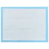 A top-down view of a dog pee pad with a blue border and a white textured surface. Voir les images du produit
