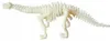 Set di scavo per scheletri di dinosauro con scalpello e Anteprima dell’immagine prodotto 15
