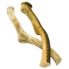 RF-Deer bois de cerf naturel, décoration unique, jouet Voir les images du produit 1