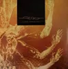 Tool - Fear Inoculum (180g.) (Tri-Fold Gatefold) (2 Sided Podgląd zdjęcia produktu 2