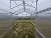 Polycarbonat Gewächshaus „Victoria“ 3x8m aus Stahl, mit 6mm Produktbild-Vorschau 4