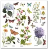 Scrapbooking-Papier Set 30×30 cm – SLS-035 Herbarium – ITD Produktbild-Vorschau 5