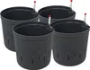 Kulturtopf 22/19 mit WA II/19er 4er-Pack Produktbild-Vorschau 4