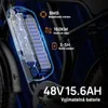 URLIFE T2: Bicicleta eléctrica - Motor de 250W, batería de Vista previa de la imagen del producto 9