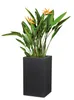 Scheurich Pflanzkasten 60/240  " C-Cube Long "  Stony Black Produktbild-Vorschau 9