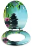 Sanfino® Premium WC Sitz "Asia II" hochwertiger Produktbild-Vorschau 3
