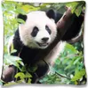 Kissenbezug Fotodruck Motiv in 40x40 cm, Flauschig weiche Produktbild-Vorschau 1