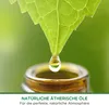 AIRWICK Raumduft-Nachfüller frisch Produktbild-Vorschau 7