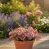 Rankhilfe aus Metall mit elegantem Schwung für Garten und Produktbild-Vorschau 6