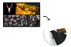MuchoWow® Fototapete für Wohnzimmer oder Schlafzimmer Produktbild-Vorschau 3