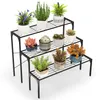 A black metal plant stand with multiple tiers, holding various potted plants. Podgląd zdjęcia produktu