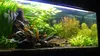 Sabbia per acquario, fondo nero basaltico 8 kg, Anteprima dell’immagine prodotto 9