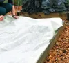 Weißes Gartenvlies Unkrautschutzvlies 1,6mx1m 50g mit Produktbild-Vorschau 9