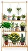 A wooden plant stand with multiple shelves filled with various potted plants.