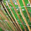 Staketenzaun Gartenzaun Zaunlatte Holzzaun Haselnussholz Produktbild-Vorschau 3