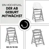 Hauck 3-tlg. Alpha Plus Sparset - Hochstuhl Produktbild-Vorschau 10