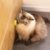 Beeztees Katzenspielzeug Catnipbälle Jumz Produktbild-Vorschau 5