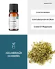 Oregano (10ml) - naturreines, ätherisches Öl von wesentlich Produktbild-Vorschau 2