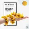 3D Drache – Drache 60 cm Figur | Überraschungsdrache in Produktbild-Vorschau 4