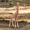 Schleich - Figurki zwierząt, krowa żyrafa; 14750 Podgląd zdjęcia produktu 10
