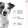 Royal Canin Mini Adult 8+, Dorosły, Mini (5 - 10 kg), Podgląd zdjęcia produktu 4