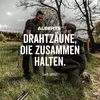 Alberts Spanndraht, verzinkt, grün kunststoffbeschichtet, Produktbild-Vorschau 2