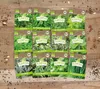 Kräuter-Set (12 Sorten) | Kräutersamen von FLORTUS Produktbild-Vorschau 3
