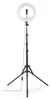 Hama SpotLight Steady 120 III LED-Ringleuchte f. Smartphone Produktbild-Vorschau 1