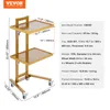 VEVOR laboratórny vozík z nehrdzavejúcej ocele s 2 Náhľad obrázku produktu 7