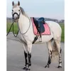 PS of Sweden Schabracke Dressur Heart FS 2024 Produktbild-Vorschau 5