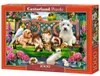Castorland Pets in the Park 1000 pcs, 1000 Stück(e), Tiere, Produktbild-Vorschau 2