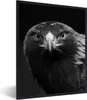 MuchoWow® Gerahmtes Poster Bussard - Vogel - Tiere - Produktbild-Vorschau 1