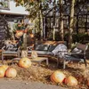 Tuinset TEXAS, bestaande uit een bank, fauteuils en een Productafbeelding-voorbeeld 8