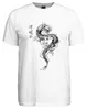 Japans draak, Irezumi, oosterse draak, Azië, Koi, vlam, Productafbeelding-voorbeeld 2
