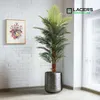 Lacers SMARAGDLINE künstliche Phoenix Palme mit 1 Stamm im Produktbild-Vorschau 2