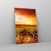 Bilder auf glas - Einteilig - Weinberg Aussicht Landschaft Produktbild-Vorschau 4