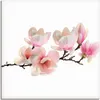 ARTland Leinwandbild Magnolie Größe: 70x70 cm Produktbild-Vorschau 1