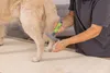 Moser Animal Shedding Rake - peigne-râteau pour sous-poils Voir les images du produit 4