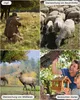 4K 48MP wildkamera mit Handyübertragung App Bewegungsmelder Produktbild-Vorschau 9