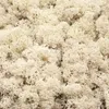 Dekorationsmaterial Islandmoos Natur 500g, 19 cm Breite, Produktbild-Vorschau 5