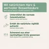 AniForte Weihrauchkapseln für Hunde 100 Stück - Natürliche Produktbild-Vorschau 3