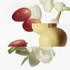 Hermes Le Jardin De Monsieur Li Eau De Toilette Spray 100ml Produktbild-Vorschau 9