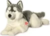 A plush toy husky dog lying down on a white background. Produktbild-Vorschau
