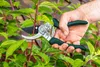 VERTO Univerzální zahradní nůžky 220 mm, průměr střihu 15 Náhled obrázku produktu 2