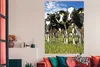 MuchoWow® Poster Kühe - Gras - Wiese - Tiere 120x160 cm - Produktbild-Vorschau 2