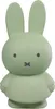 Atelier Pierre Miffy Spardose Eucalyptus Produktbild-Vorschau 1