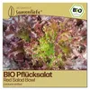 Samenliebe  Salat Samen | Red Salad Bowl - rot & gekraust - Produktbild-Vorschau 1